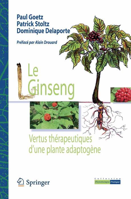 Le Ginseng - Vertus thérapeutiques d'une plante adaptogène