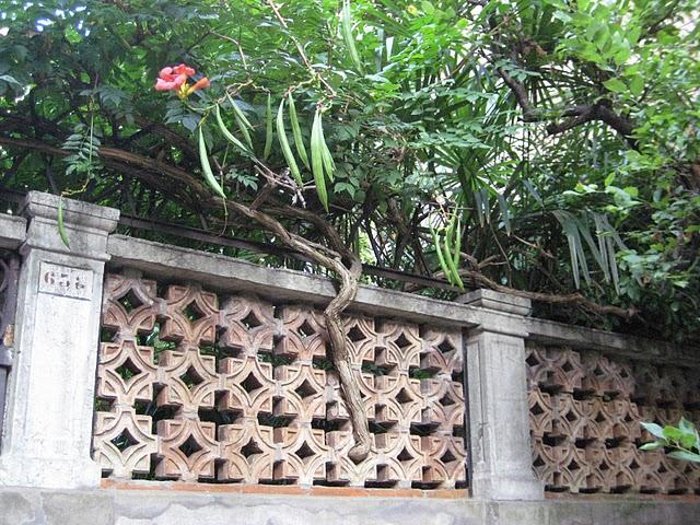 Corte de Ca'Dario et quelques uns de ses habitants