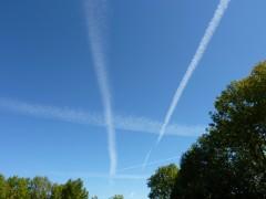 le grand variable, christian cottet-emard, éditions éditinter, fiction, poésie, récit, roman, hirondelle des rivages, mer, papillon, enseigne de vaisseau, mhorn,nuage,vingtième siècle,pays natal