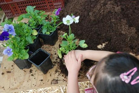 Fête des jardins crédits : Mairie de Paris:Thierry Guillaume