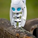 June 2011 : Walk with Drossel Nendoroid