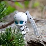 June 2011 : Walk with Drossel Nendoroid