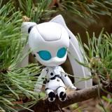 June 2011 : Walk with Drossel Nendoroid