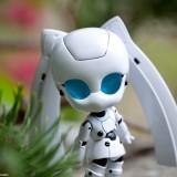 June 2011 : Walk with Drossel Nendoroid