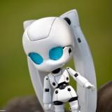 June 2011 : Walk with Drossel Nendoroid