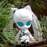 June 2011 : Walk with Drossel Nendoroid