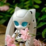 June 2011 : Walk with Drossel Nendoroid