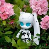 June 2011 : Walk with Drossel Nendoroid