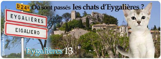 Eygalières Chats
