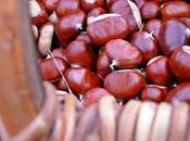 premiers signes l'automne...