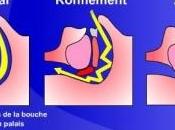 APNÉES l’ENFANT journée avec plus grands experts mondiaux JASE