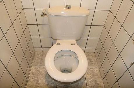 Union Mafieuse du Pognon est dans la merde, et si on tirait la chasse ?