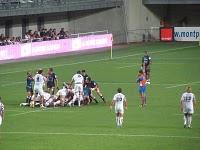 La cabane est tombée sur le chien...