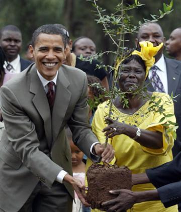 Kenya: Wangari Maathai, Prix Nobel de la paix et militante écologiste, est morte