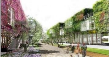 Actualité immobilier neuf 