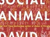 livres semaines (#25) Social Animal