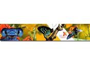 Journées culture 2011: visites gratuite