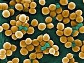 RÉSISTANCE antibiotiques? Elle remonte l’âge glace! Nature