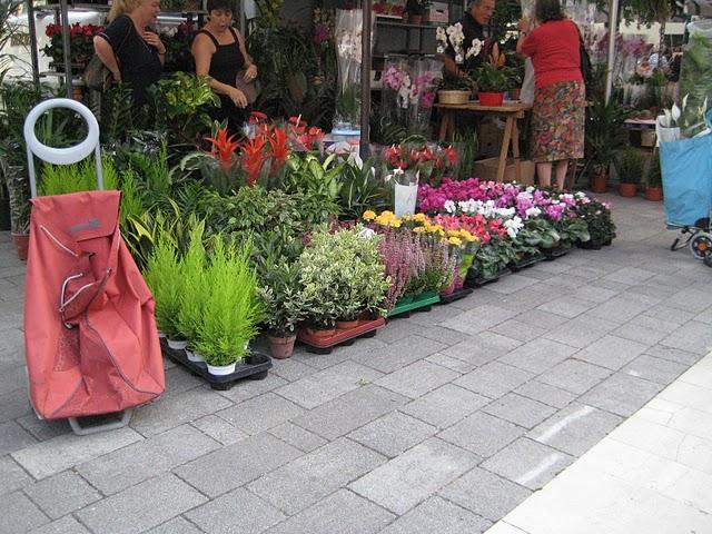 Un de mes marchés vénitiens préférés