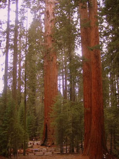 Californie - Day 11 bis, 12 & 13 Californie - Day 11 bis, 12 & 13