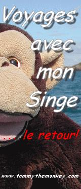 Voyages avec mon Singe... le retour !