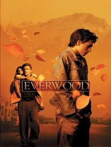 Everwood sur France 3 dès le 6 mars