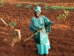 Hommage à Wangari Maathai