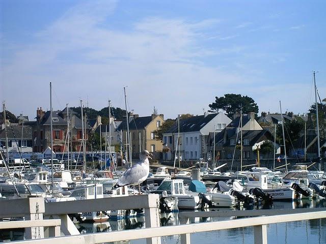 chronique piriacaise