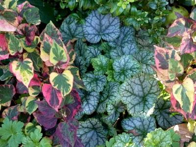 Si l'Automne  doit se dérouler comme ces derniers jo...