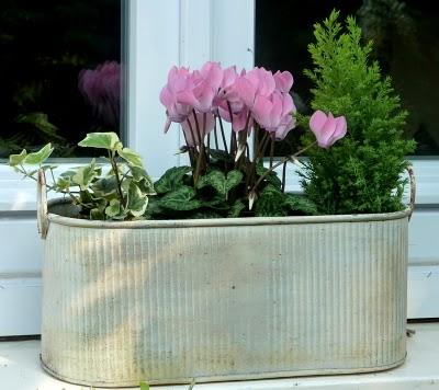 Si l'Automne  doit se dérouler comme ces derniers jo...