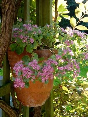 Si l'Automne  doit se dérouler comme ces derniers jo...
