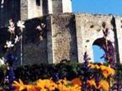 Brèves Conseil Gisors...