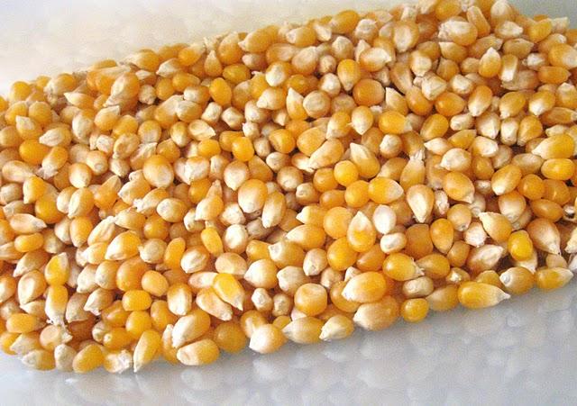 Du mais soufflé éco et santé pour le cinéma maison