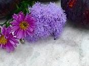 montrouge, c'est toujours l'été