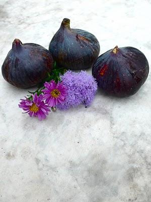 A montrouge, c'est toujours l'été