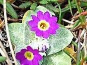 Autre instantané relatif “reinsertion” lycée…