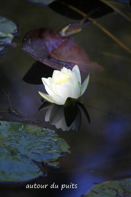 Généralement je me dis 
