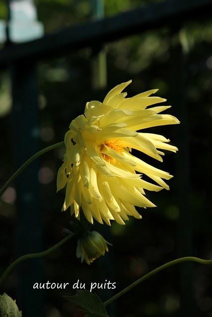 Généralement je me dis 
