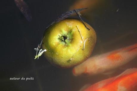 Généralement je me dis 
