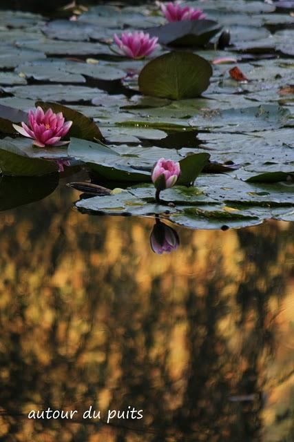 Généralement je me dis 
