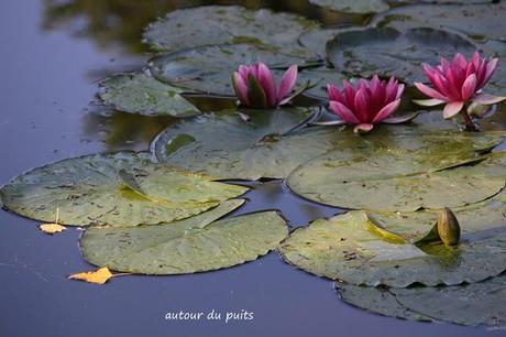 Généralement je me dis 
