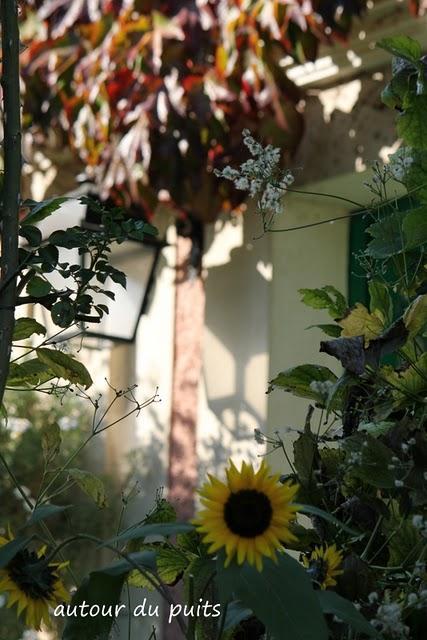 Généralement je me dis 
