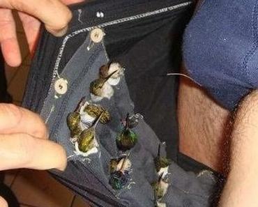 Arrêté avec 12 colibris dans son slip