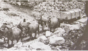 arts,mosaiques,italie,matériaux