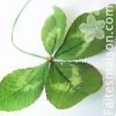 Donnez une deuxième vie à vos vêtements !