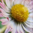 Donnez une deuxième vie à vos vêtements !