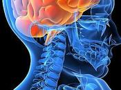 savoir sert rien preuve