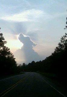 chiens-nuage.jpg
