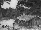 devenir cabanes résiniers