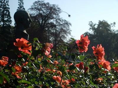 A 10 pas de chez vous - Projet photo 52 (semaine #39)